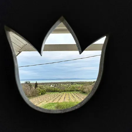 Апартаменты Haptapta House Балатонудвари